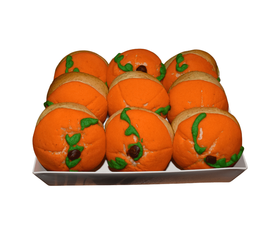 Pumpkin Conchas – Fall Edition (9-Pack) 🎃 - La Concheria Cafe
