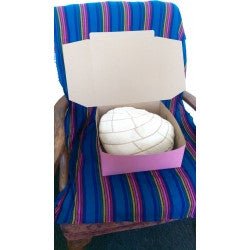 Pan Dulce Plush Concha Cushions - La Concheria Cafe
