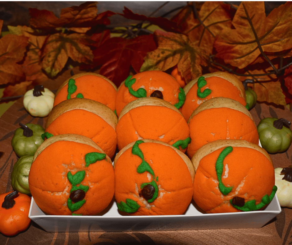 Pumpkin Conchas – Fall Edition (9-Pack) 🎃 - La Concheria Cafe